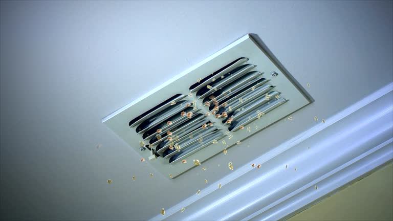 Best Air Vent Cleaning Services  in Cordova, AL